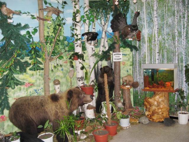 В краеведческом музее в г. Пласте есть даже маленький кусочек леса