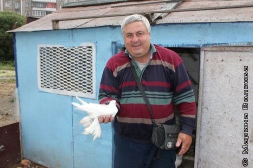 Андрей Воробьёв с любимым голубем