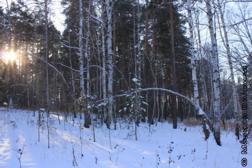 Щедрая зима 2012