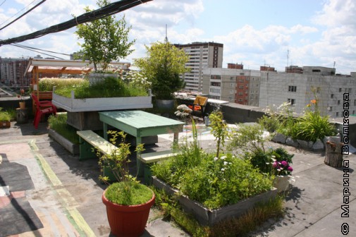 Сад на крыше девятиэтажки