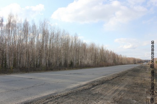Вдоль дороги Тобольск-Сургут