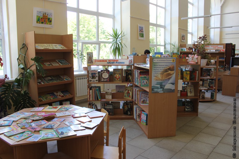 Ростовская библиотека