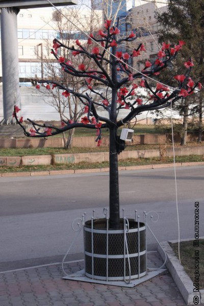 Памятник дереву