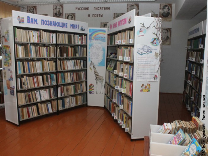 Библиотека села Кидыш