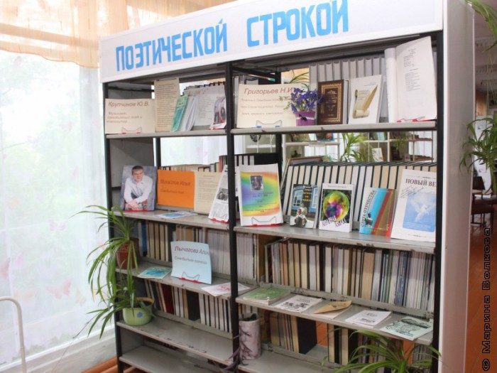 Библиотека села Кидыш
