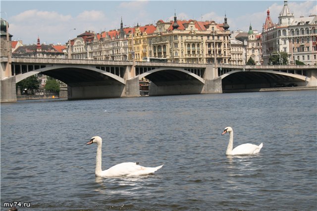 Влтава, Прага, Чехия