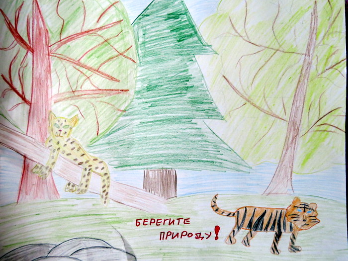 «Тигриная тропа» — творческий конкурс. Часть 3