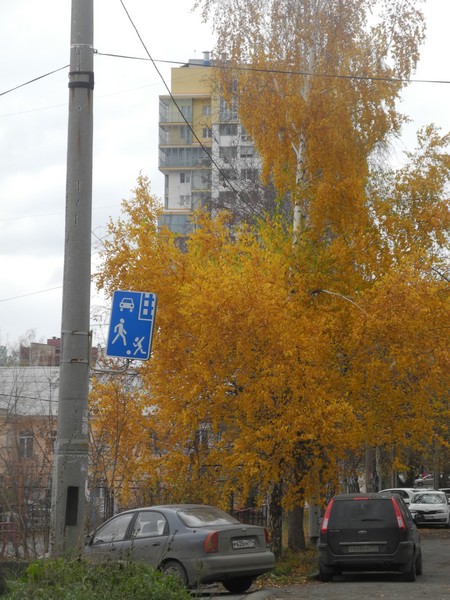 Улица Татьяничевой